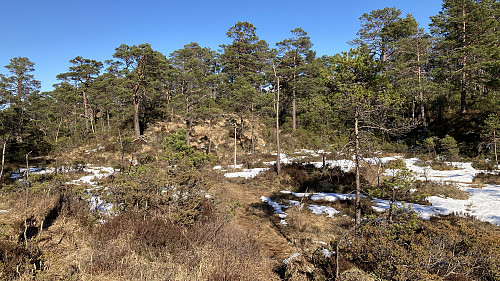 Terrenget sør for Skantane