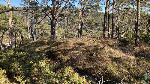 Topp-området på Skantane