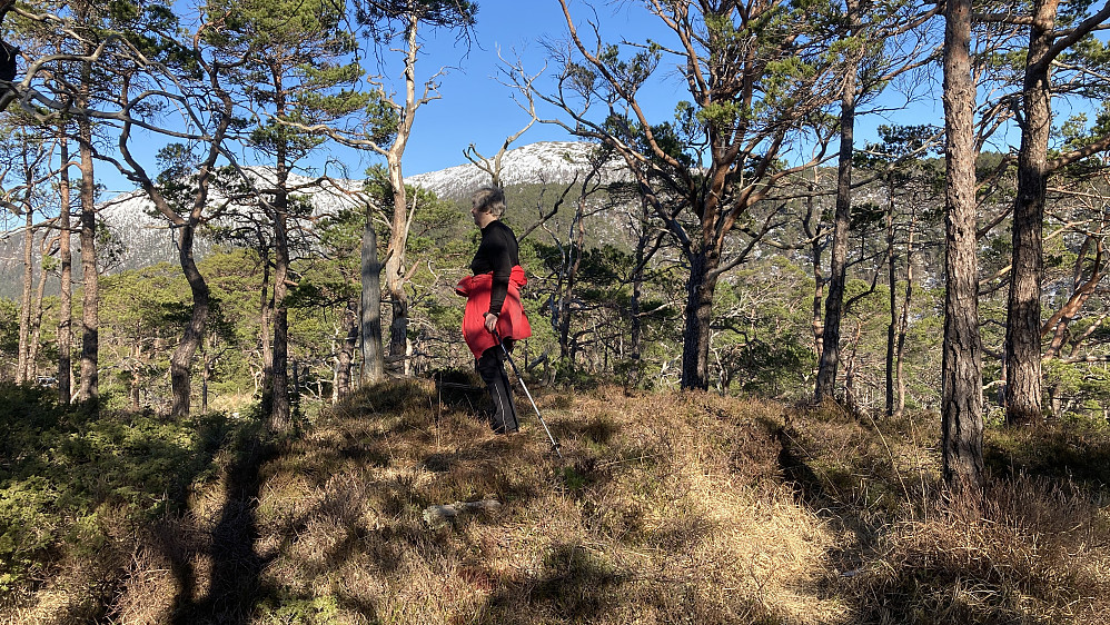 Astrid på toppen av Skantane