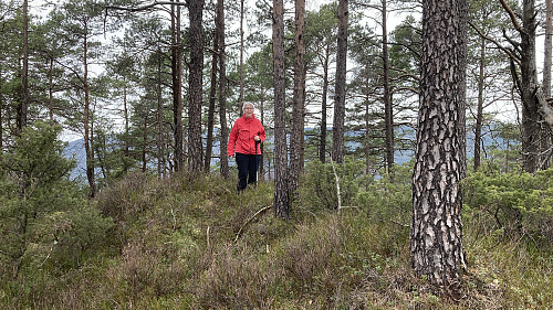 Samme fra litt annen vinkel