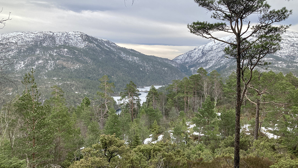 Utsikt østover mot Krokvatnet. Rødsfjellet 525 mot høyre, Steindalsåsen 407 mot venstre