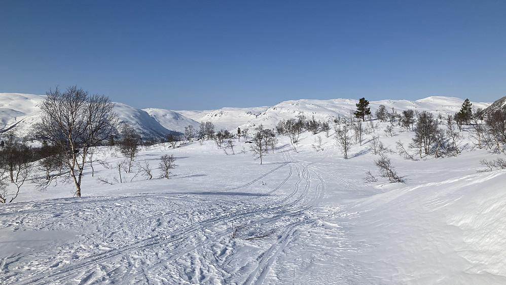 Utsikt nordover mot Rjoandalen