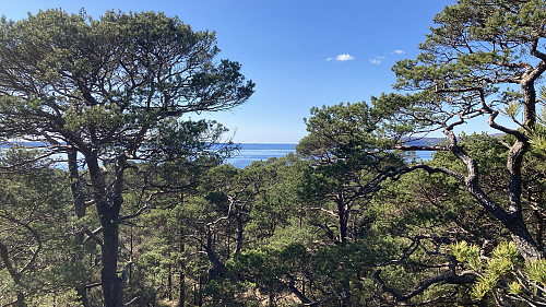 Utsikt sørover mot Lysefjorden