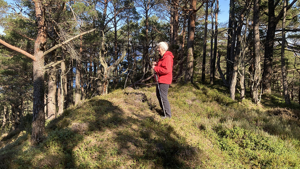 Astrid på toppen av Ramnaberget på Korsneset