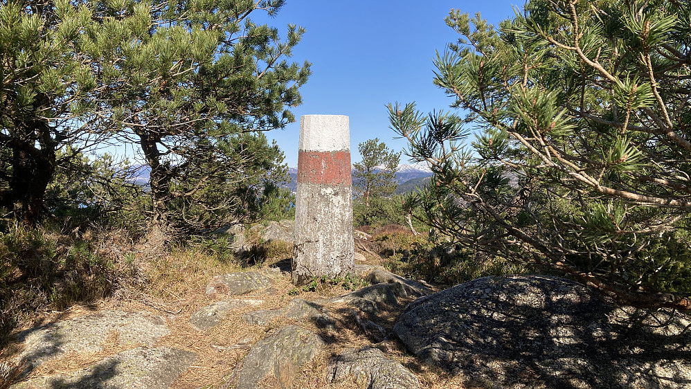 Toppen av Veten i Fana