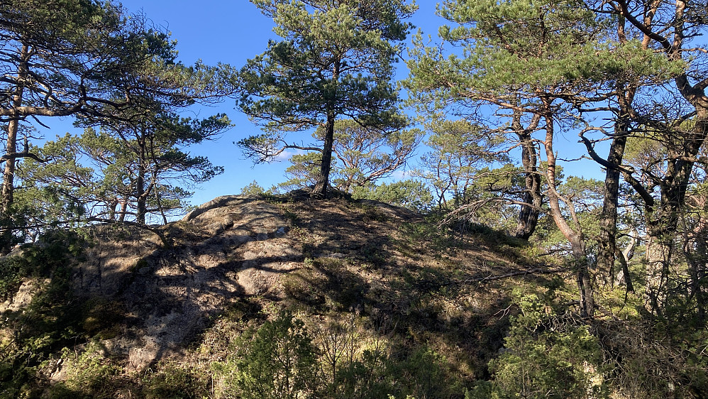Høyeste punkt på Kjetilsfjellet