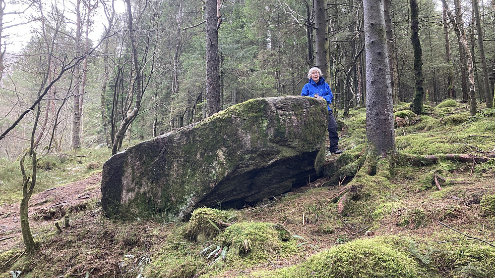 Steinen "Siste måltid" på SØ-siden av Storavatnet. Foto mot NNØ