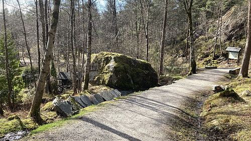 Rennesteinen. Foto mot vest