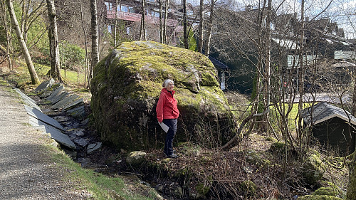 Astrid ved Rennesteinen. Foto mot øst