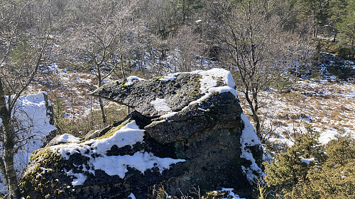 Steinblokker nord for Myrsteinen. Foto mot vest.