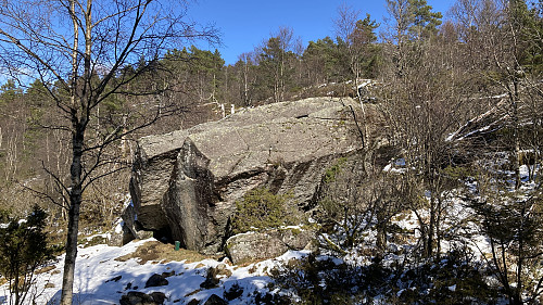 Revehiet i stikrysset sør for Holefjellet. Foto mot NNV