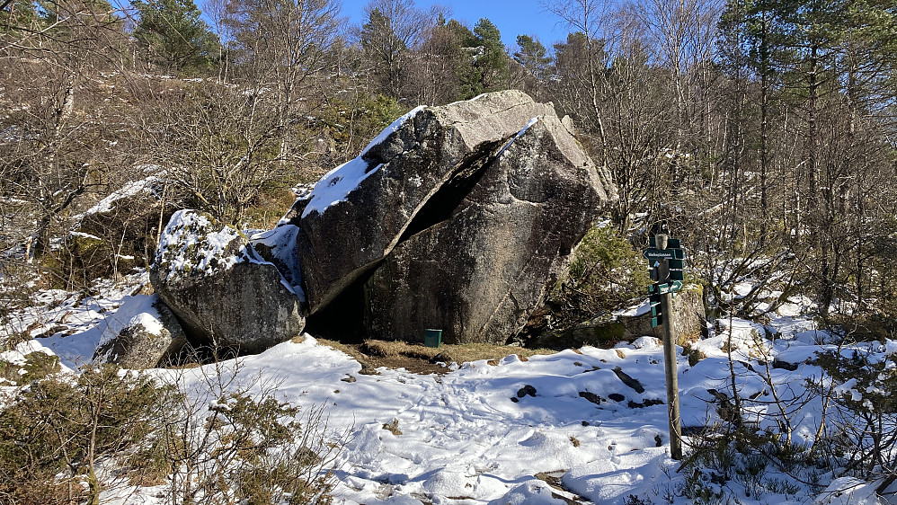 Slik møter en Revehiet langs stien på mot Damsgårdsfjellet