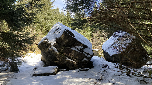 Djevlene i skogen nord for Løvstakken