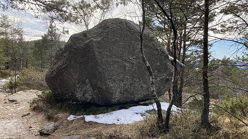 Oppesteinen sett fra nord
