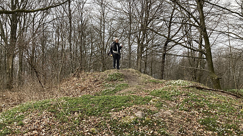Astrid på Yding Skovhøj Vest