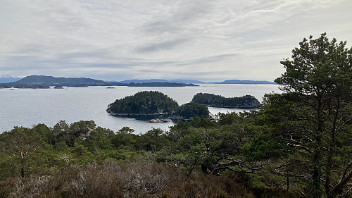Utsikt mot Lysefjorden fra litt vest for selve toppen