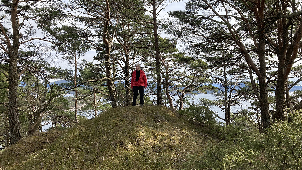 Astrid på toppen av Såta på Korsneset