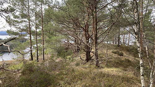 Topp-området like nord for toppen