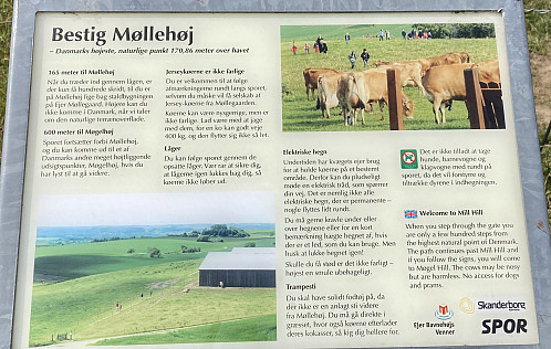 Møllehøj info