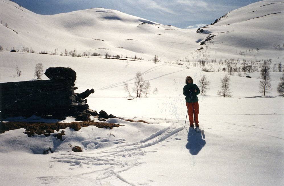 Tilbakeblikk mot ØNØ-skråningen av Vesetfjellet med skisporene våre. Aldeles nydelige nedrenn!