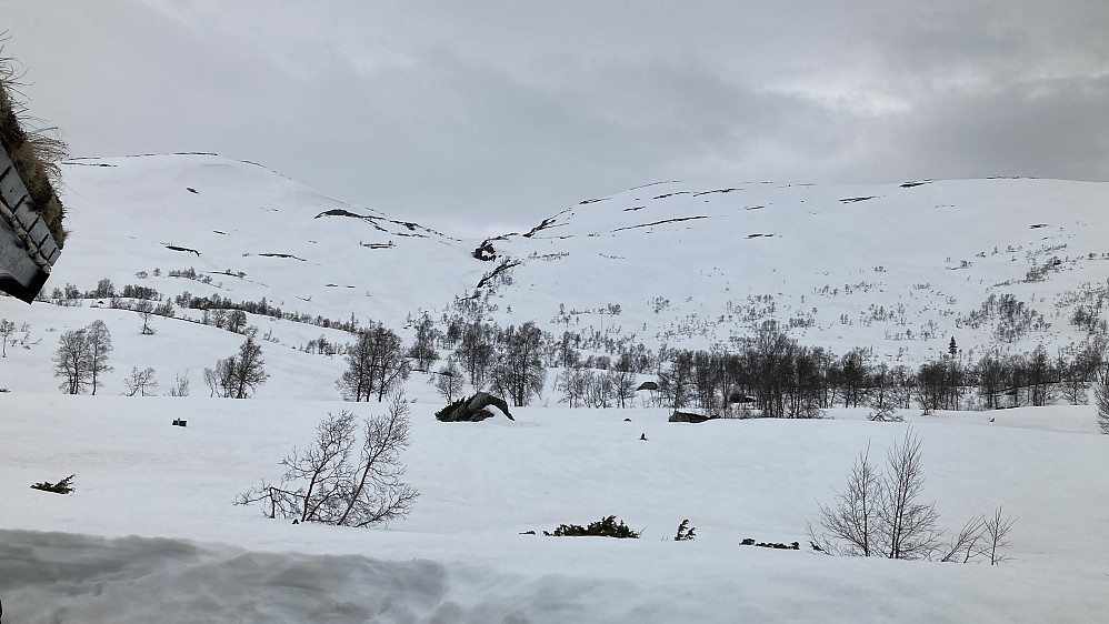 Grått mot Vesetfjellet