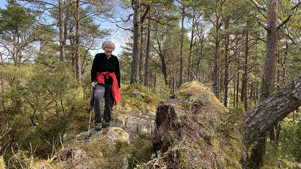 Fint terreng og bra sti på vei mot Kampen