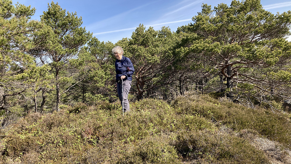 Astrid på toppen av Austneset på Krokeide