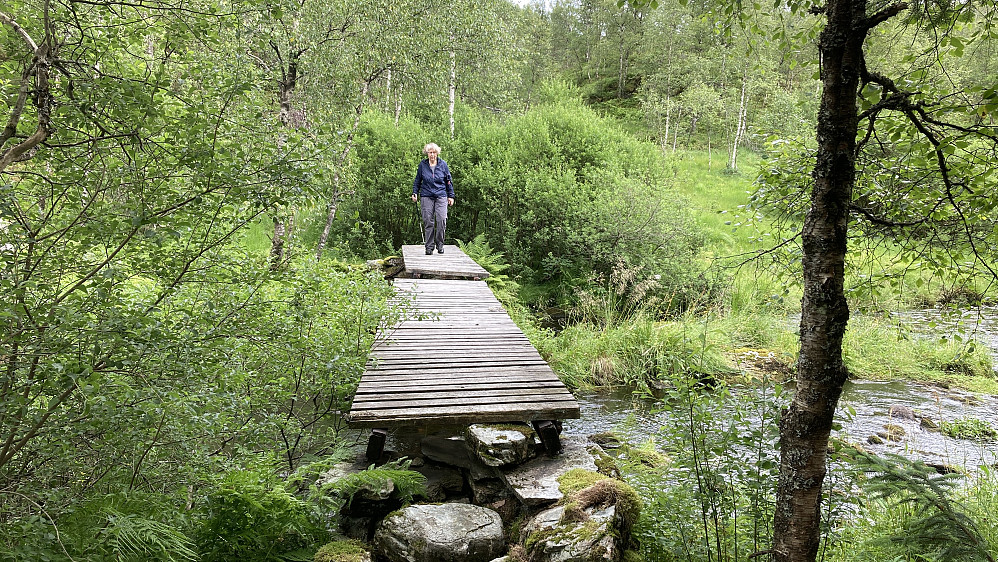 Broen over Frotveitelva