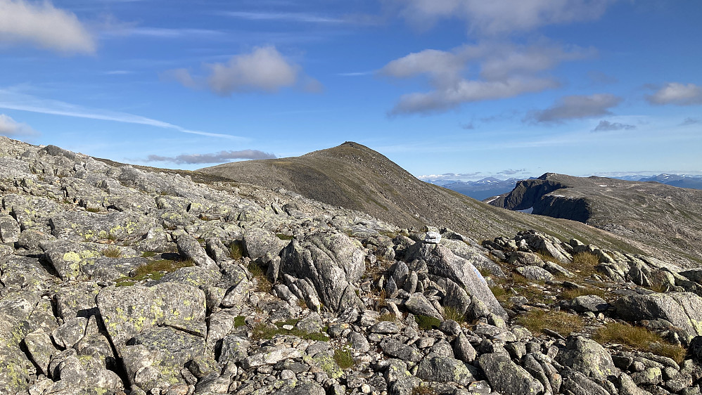 Nesten oppe på 870-toppen. Merket sti fortsetter til Tredje Svanfjell 898 med varder sentralt i bildet, fortsatt 6-700 m unna!