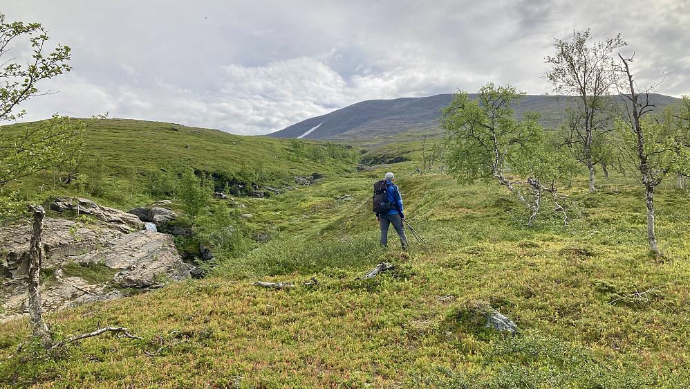 Fint parti oppover langs bekken Njirak som har gravet seg dypt ned i terrenget
