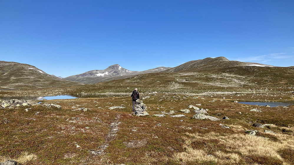 Flatene sør for høydedraget der Riksrøys 203 B og Jetnamsfjellet SØ3 ligger til høyre i bildet. Jetnamsklumpen 1512 litt til venstre for midten