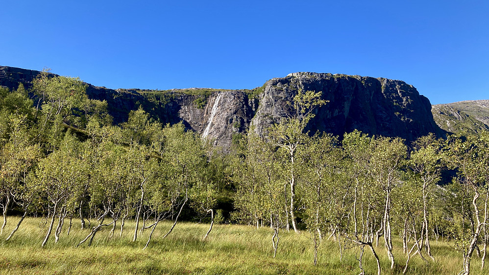 Oppe på 400 moh blir terrenget åpent og fint! Utsikt vestover mot Storfjellet med den flotte bekken som styrter seg utfor fjellsiden