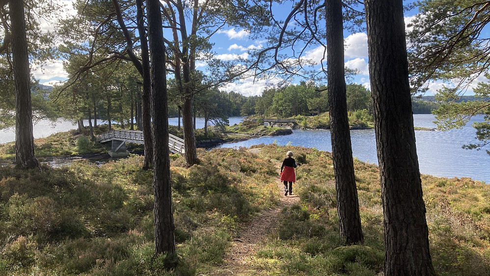 Retur til kaien på Flatøyna der Nils Anton hentet oss.