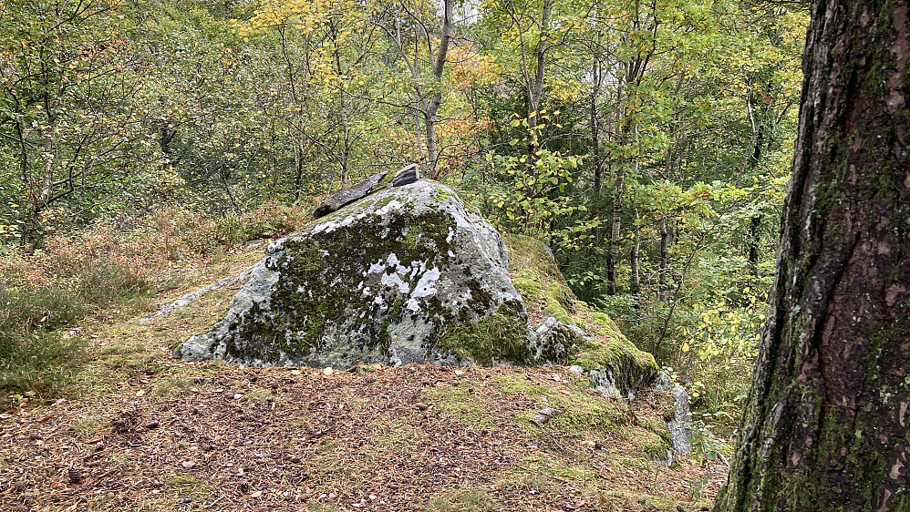 Høyest på Gamlehaugen