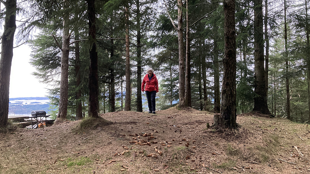 Astrid på toppen av Kolhushaugen