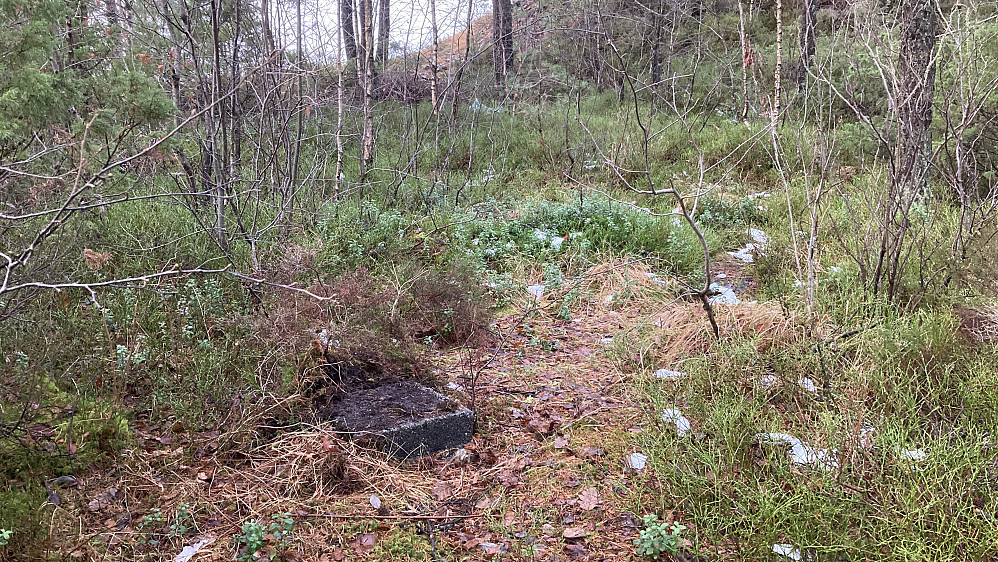 Betongfirkant ca. 35 x 35 cm i skogen vest for Vardeveien 70A