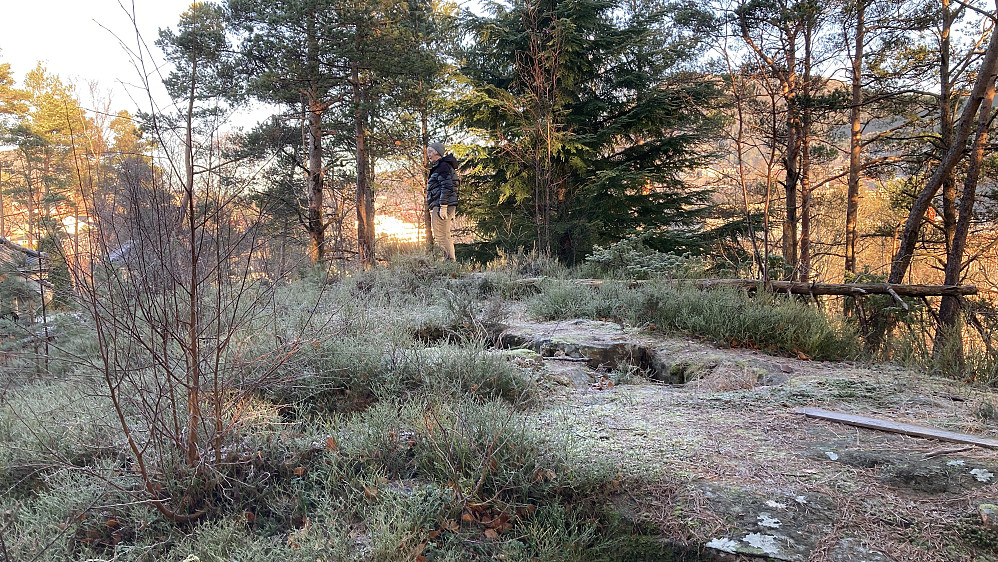 Toppen på Skulehaugen med betongbrønn som skytestilling brukt under 2 VK