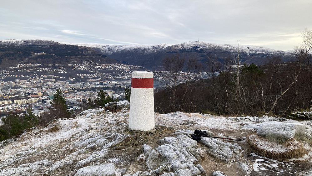 Betongsøylen nord på Damsgårdsfjellet som var et av målepunktene under trianguleringen av Bergen. Høyde ca. 1 m, diam øverst 42 cm. Sentralt er det en grop/uthuling hvor det kan ha stått en stang eller et merke. Søylen fremstår som relativt nymalt - hvit med rød ring i forhold til på tidligere bilder