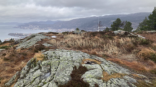 Høyeste punkt på Strandafjellet ca. 70 m sør for søylen. Utsikt mot nord