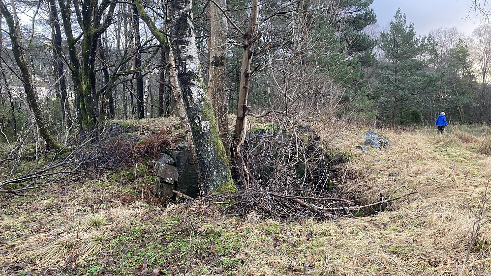 Bunkeren ligger godt skjult i terrenget. Åpning mot vest bak krattet 
