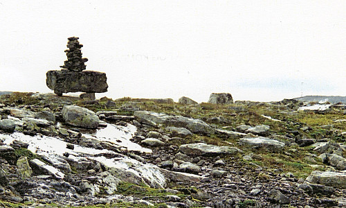 Spesiell varde SV på Brekkedalshøgda. Foto Helge Titland 6.9.2000