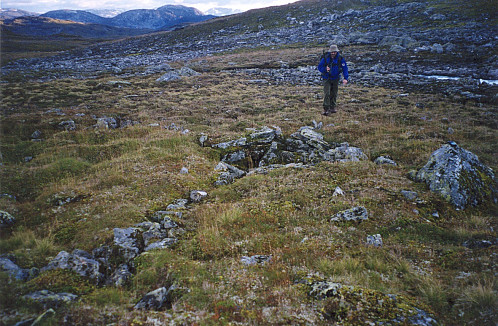 Helge ved fangstgrav Reg 150. Merk ledegjerdene. Foto mot sør