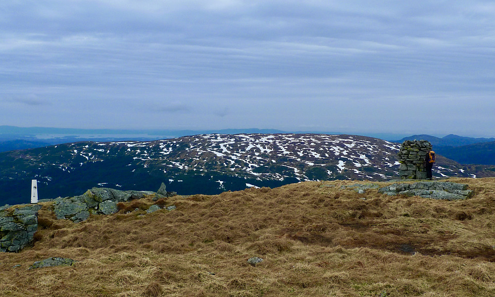 Søylen/fastmerket med ID nr 00901 på GPS 308489 6694819. Varden 308485 6694838.