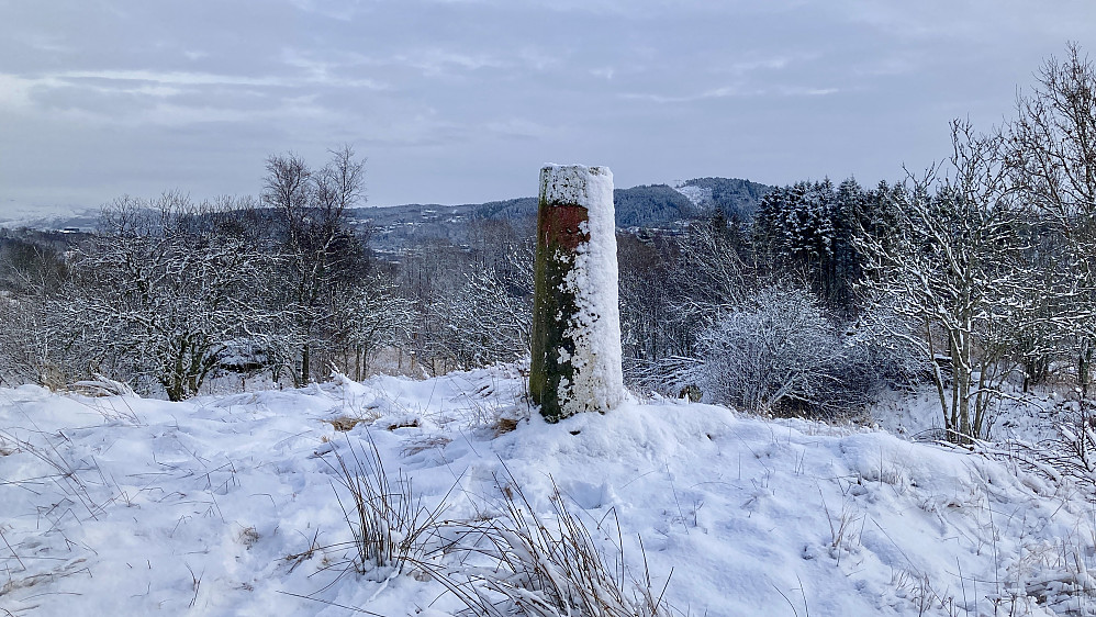 Søylen på Håvardstun var dagens vakreste med antydet rødt magebelte under toppen.