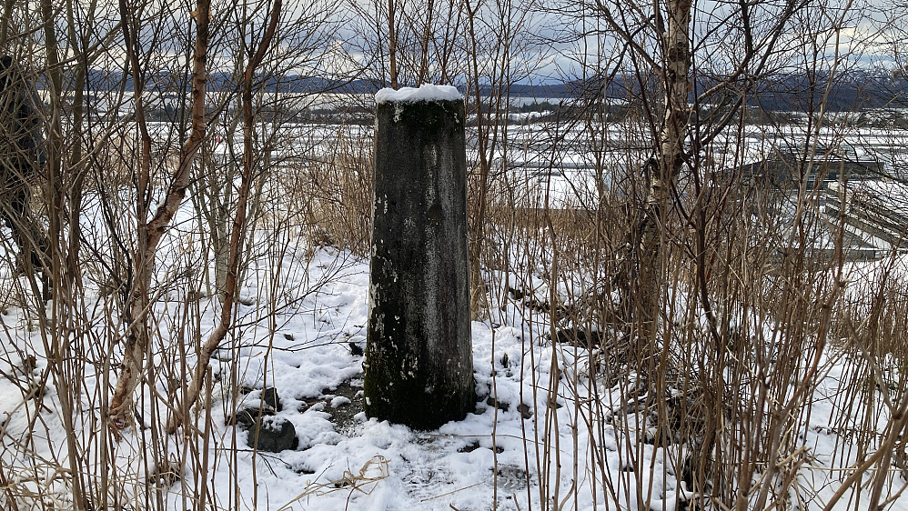 Søylen på toppen av Lilandshaugen. Utsikt mot vest