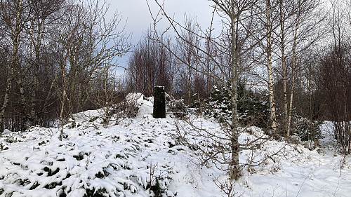 Søylen sett fra SØ