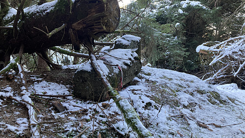  Toppdelen nærmest, basis bakenfor