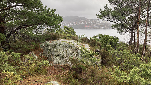 Høyeste punkt på Storevarden, 30 m SØ for søylen