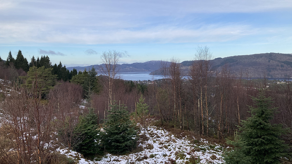 Flott utsikt mot nord fra haugen like vest for gjerdet og søylen!