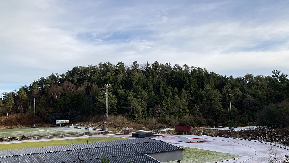 Gjesthaugen sett fra SV